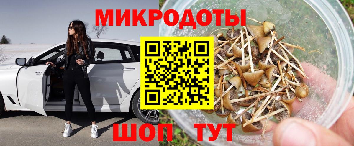 Ивантеевка  Галлюциногенные грибы прущие грибы  Вход с VPN  Псилоцибиновые грибы GOLDEN TEACHER 